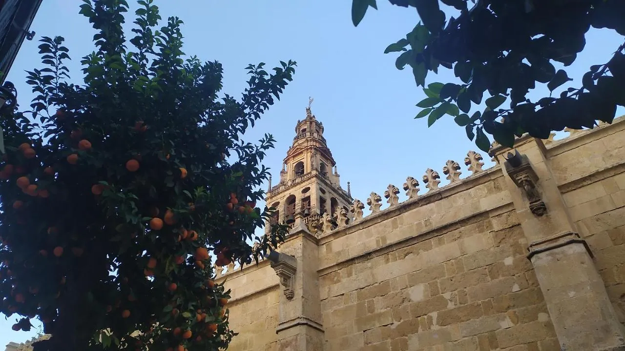 Apartment Apartamento Saravia Only Families Cordoba